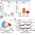 scientists-discover-a-14