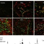 this-molecule-could-be