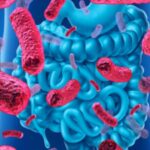trapianto-di-microbiota-fecale-unarma-in-piu-contro-il-clostridium-difficile-1280x720