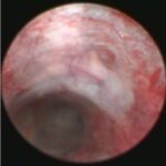 utsw-researchers-disco