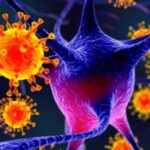 171924238-129ed4ba-5b66-4121-8ed1-7bb70cf45112