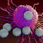 214522860-a2a14ea2-ed2e-415a-8c51-4fba283ec0f7