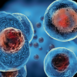 Cellule-Staminali-1200x675-1-1080x675