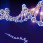 Dna1-675