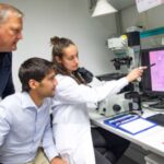 mhh-gene-correction-as