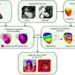 new-study-uncovers-maj