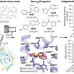 non-opioid-compounds-s