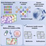 researchers-identify-d-1