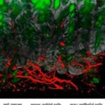 study-finds-unexpected