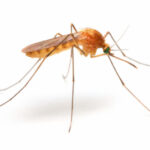 thinkstockphotos-521399411-1_thumb_720_480