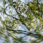 vertigine-parossistica-posizionale