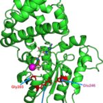 zinc-could-treat-a-rar-1