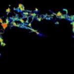 cleaning-up-toxic-prot