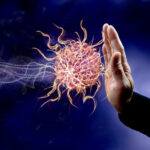 difese immunitarie 600