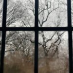 2195576_w2000h2000c1cx1037cy574cxt0cyt0cxb2000cyb1500