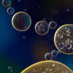cell (4)