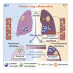 driver-of-cystic-fibro