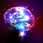 lighted-brain