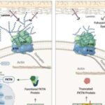 novel-method-with-impl