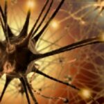 parkinson-neuroni_20141023112617_20200406154119