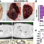 research-reveals-how-a-1