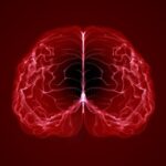 shutterstock_460021237_LD