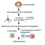 tumor-ammonia-levels-i