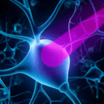 060421_ls_COS-spolight-optogenetics_feat-1030x580 (1)