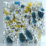 2020-11-21273E_Cover_suggestion_2-copy-1024x683