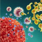 holes-in-t-cells