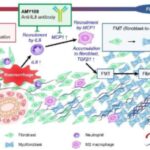 long-acting-recycling