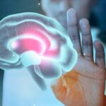 7234800_16113451_alzheimer_ricerca_studio