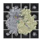 antibiotics-for-acne-g