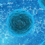 cellule-eucariote-descrizione