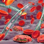 download - 2023-03-21T063235.585