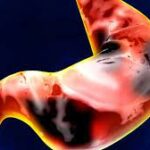 download - 2023-03-22T083106.636