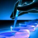 download - 2023-03-30T100318.327