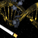 fumo-dna