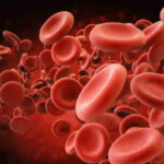 globuli-rossi (1)