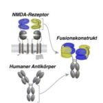 putting-out-the-fire-i