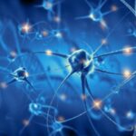 Insorgenza-SM-1024x538