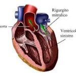 images (54)