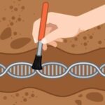 scientists-use-genetic