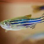 HONG KONG-HEALTH-RESEARCH-SUNSCREEN-ENVIRONMENT-POLLUTION