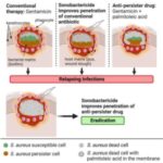 breaking-through-bacte