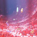 does-our-gut-microbiot