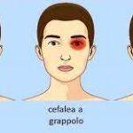 download - 2023-05-31T093804.548