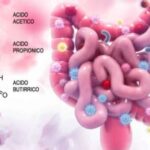 grassi-corta-catena_m