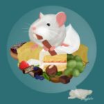 how-tasty-is-the-food