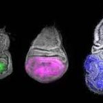 download - 2023-06-04T003942.440